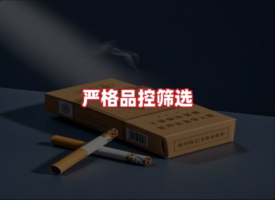 专业团队